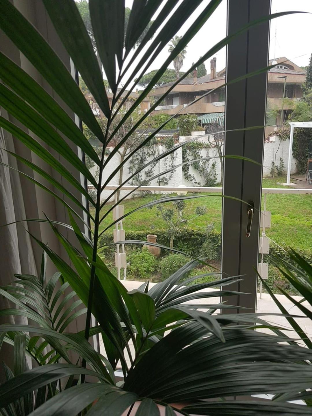 Hotel Roma - Casalpalocco - Amipsia à Casal Palocco Extérieur photo